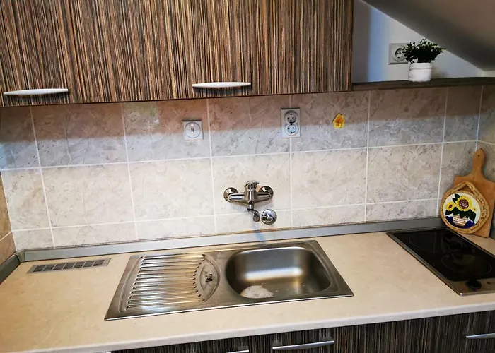 Park With Mountain View Balcony Appartement Sokobanja